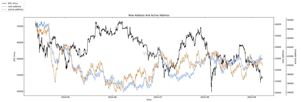 Real-time sugar orange price fluctuations, analysis, and major economic news