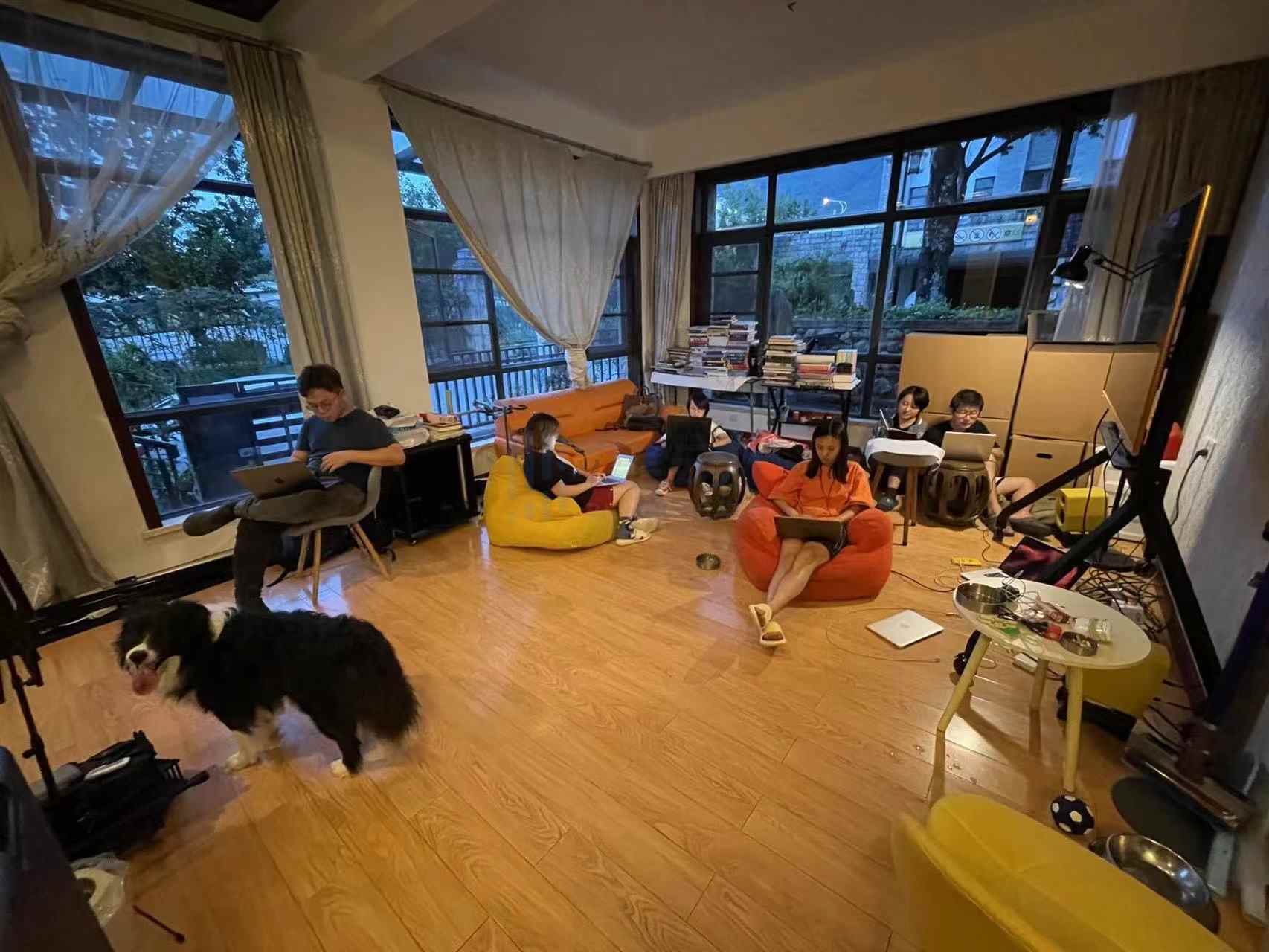 SeeDAO万字专访:11个月4次低谷,如何从停滞中重生?
