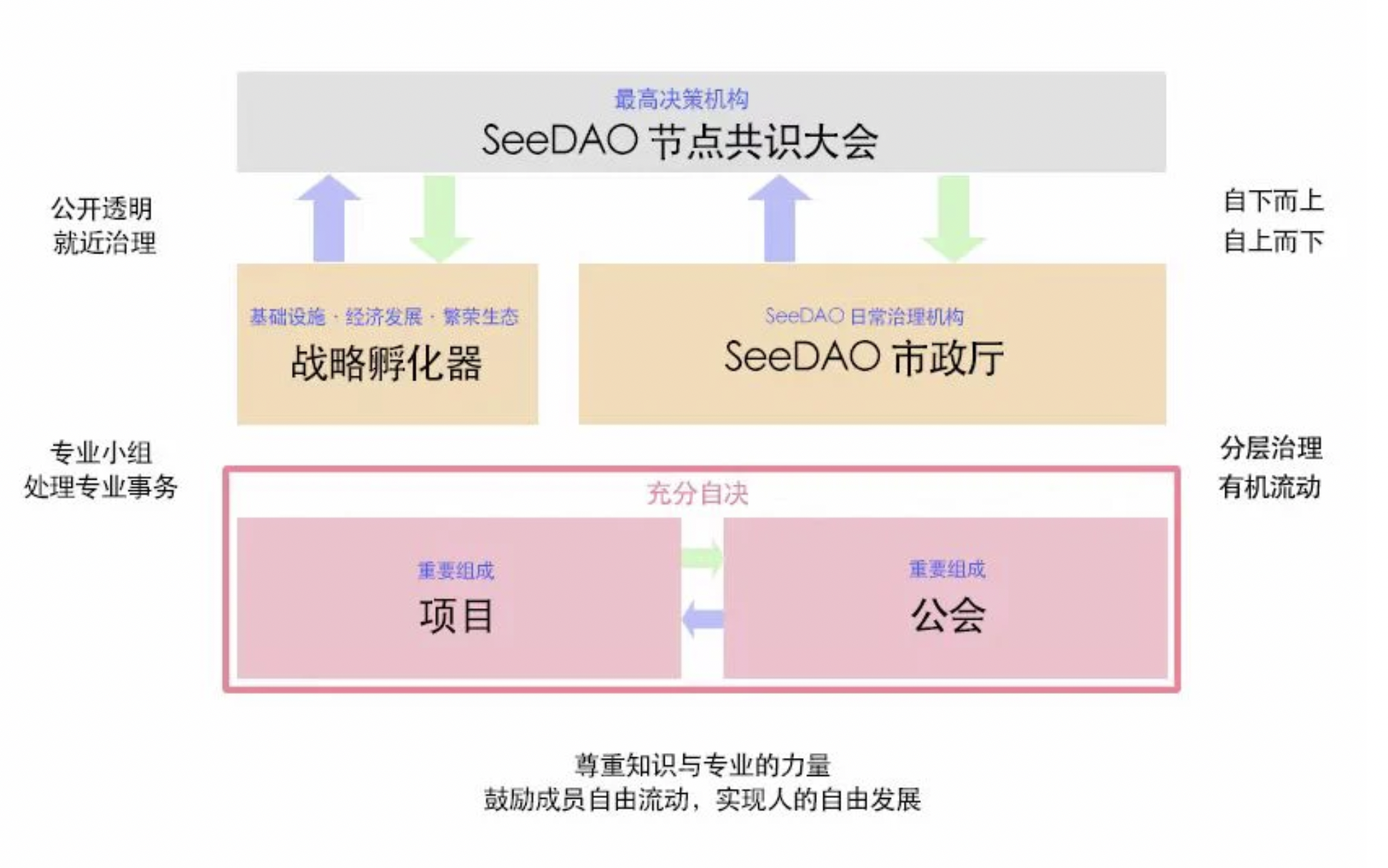 SeeDAO万字专访：11个月4次低谷，如何从停滞中重生？