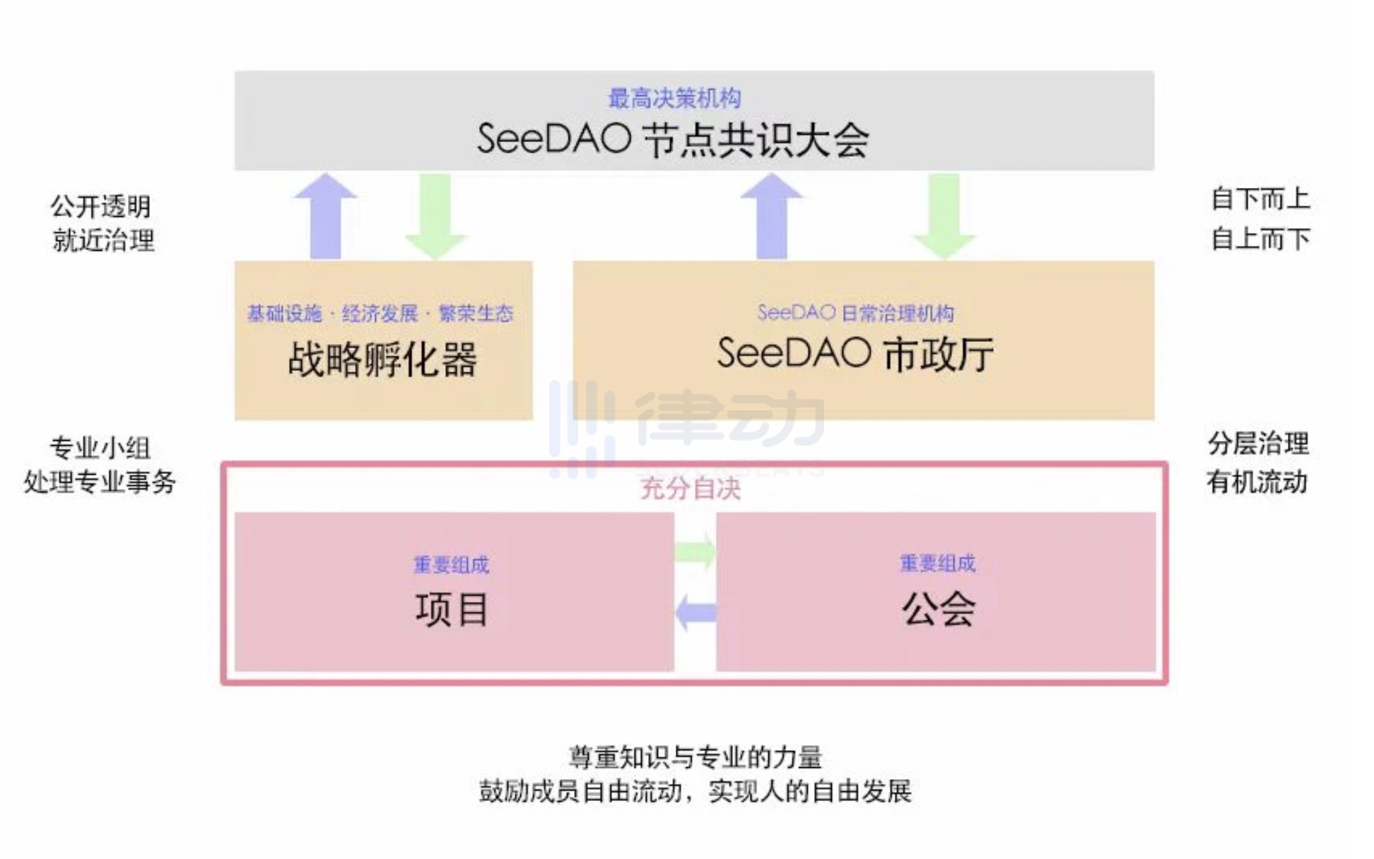 SeeDAO万字专访:11个月4次低谷,如何从停滞中重生?