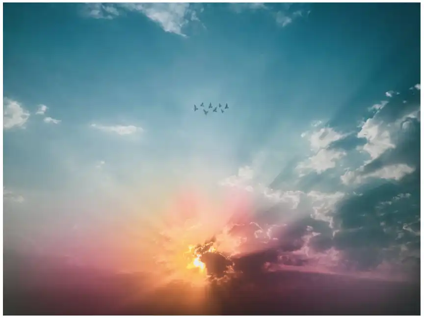 cover image of news article