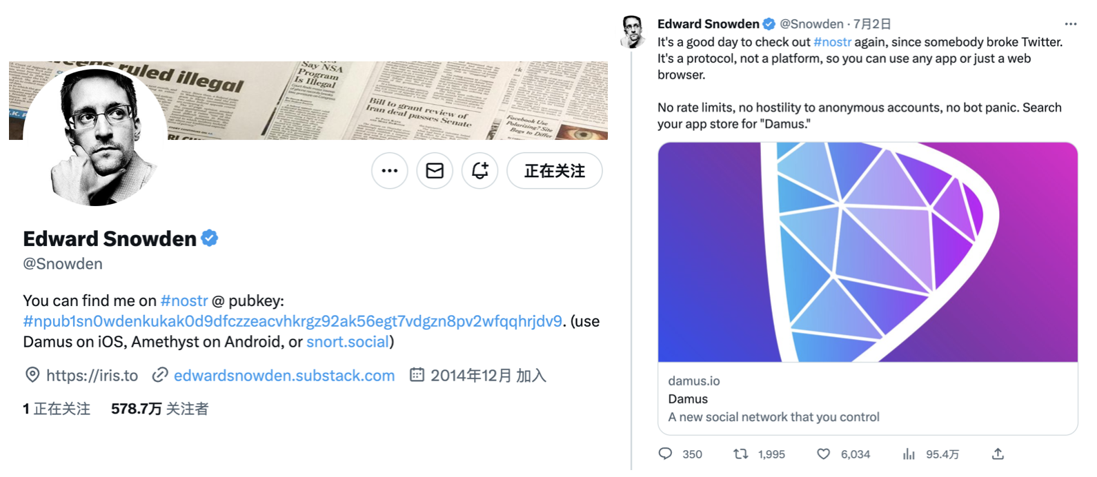 「逃离Twitter」热潮下，还有这几款社交网络平替